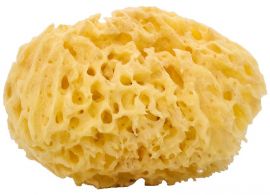 Woman-Kind Natural Honey Comb Bath Sponge